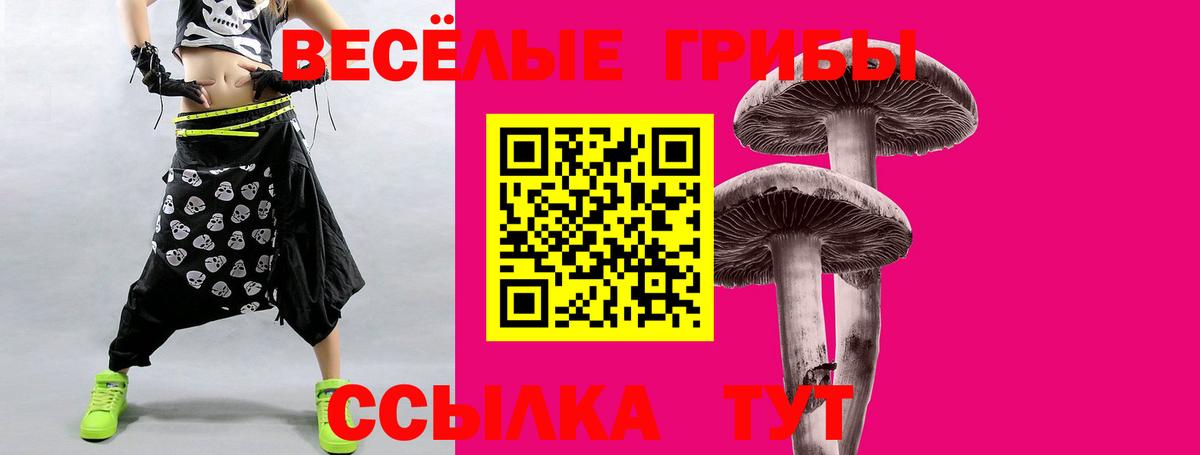 Галлюциногенные грибы мицелий  Вход с VPN  Пушкино 